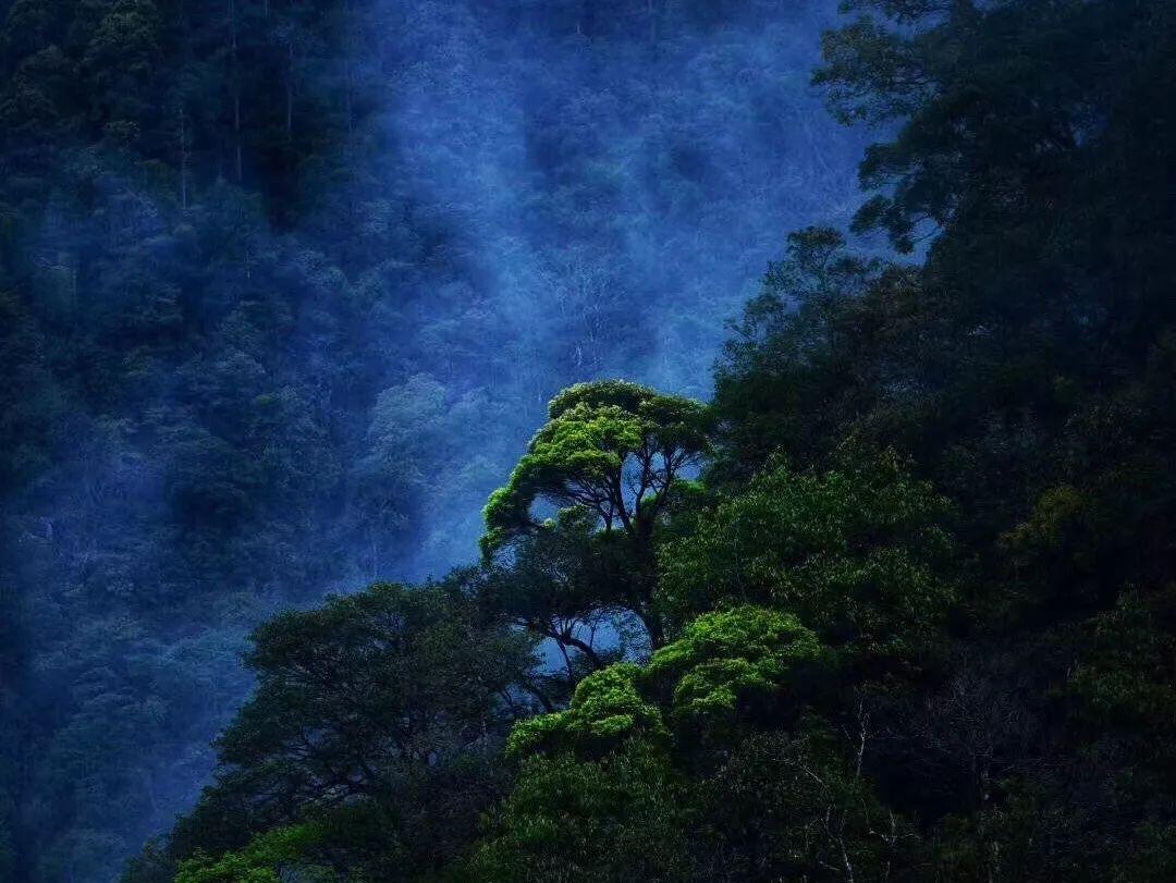 街头摇滚风